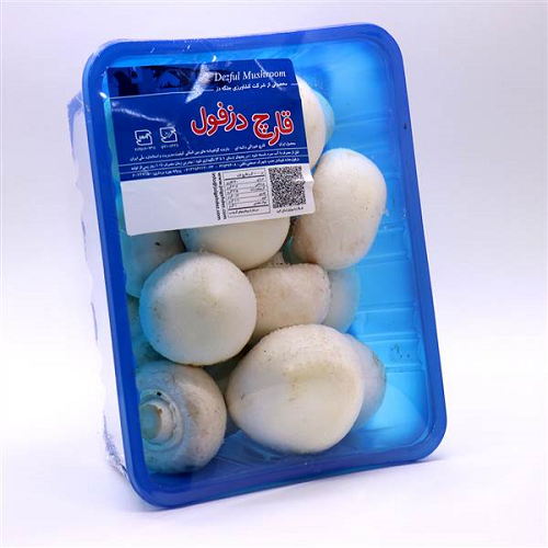 قارچ جلگه 400گرم